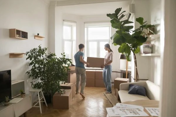 Livraison de plantes Albias